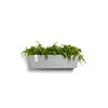 Manhattan Medium Rectangle Wall Planter - 21.75 in x 6.75 in x 6 in - White Grey - White Grey,21.75 in x 6.75 in x 6 in