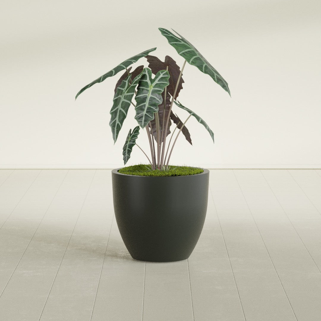 Wannsee Medium Round Fiberglass Planter - 27 in x 27 in x 24 in - Matte Charcoal - Matte Charcoal,27 in x 27 in x 24 in