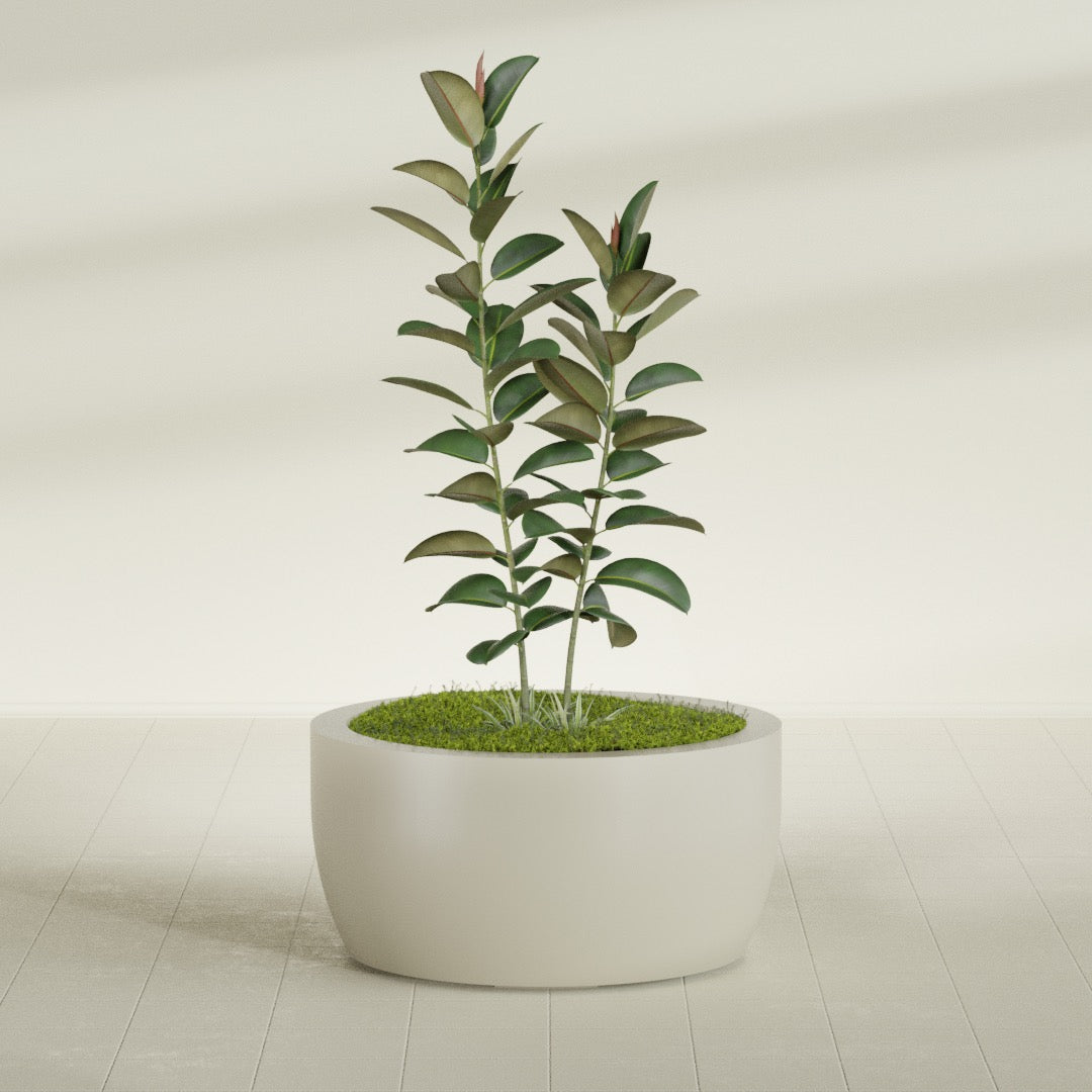 Casablanca Large Round Low Bowl Fiberglass Planter - 36 in x 36 in x 18 in - Satin Beige - Satin Beige,36 in x 36 in x 18 in