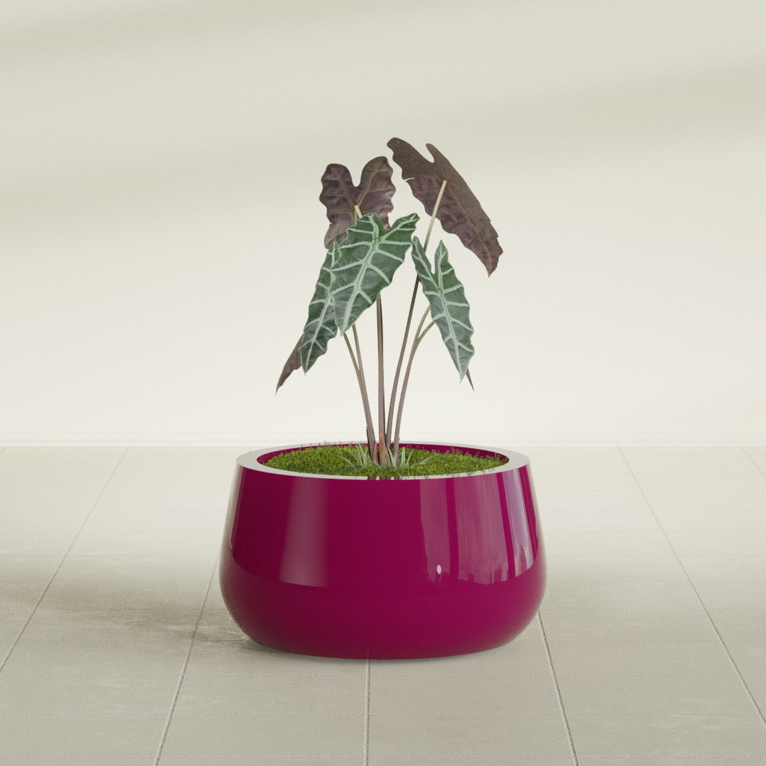 Short Hayden Small Round Fiberglass Planter - 16 in x 16 in x 8 in - Gloss Eggplant - Gloss Eggplant,16 in x 16 in x 8 in