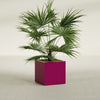 Montroy Medium Cube Square Fiberglass Planter - 24 in x 24 in x 24 in - Gloss Eggplant - Gloss Eggplant,24 in x 24 in x 24 in