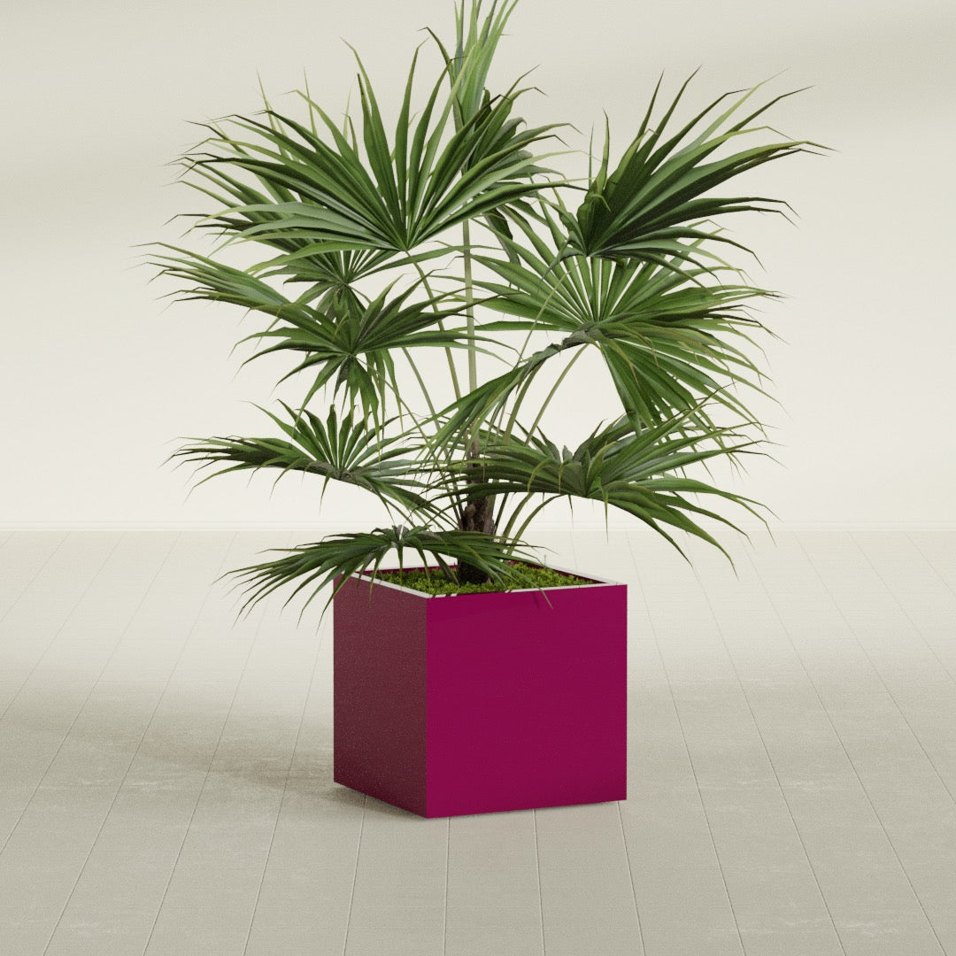 Montroy Medium Cube Square Fiberglass Planter - 24 in x 24 in x 24 in - Gloss Eggplant - Gloss Eggplant,24 in x 24 in x 24 in