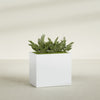 Brisbane Large Rectangle Fiberglass Planter - 36 in x 24 in x 32 in - Gloss White - Gloss White,36 in x 24 in x 32 in