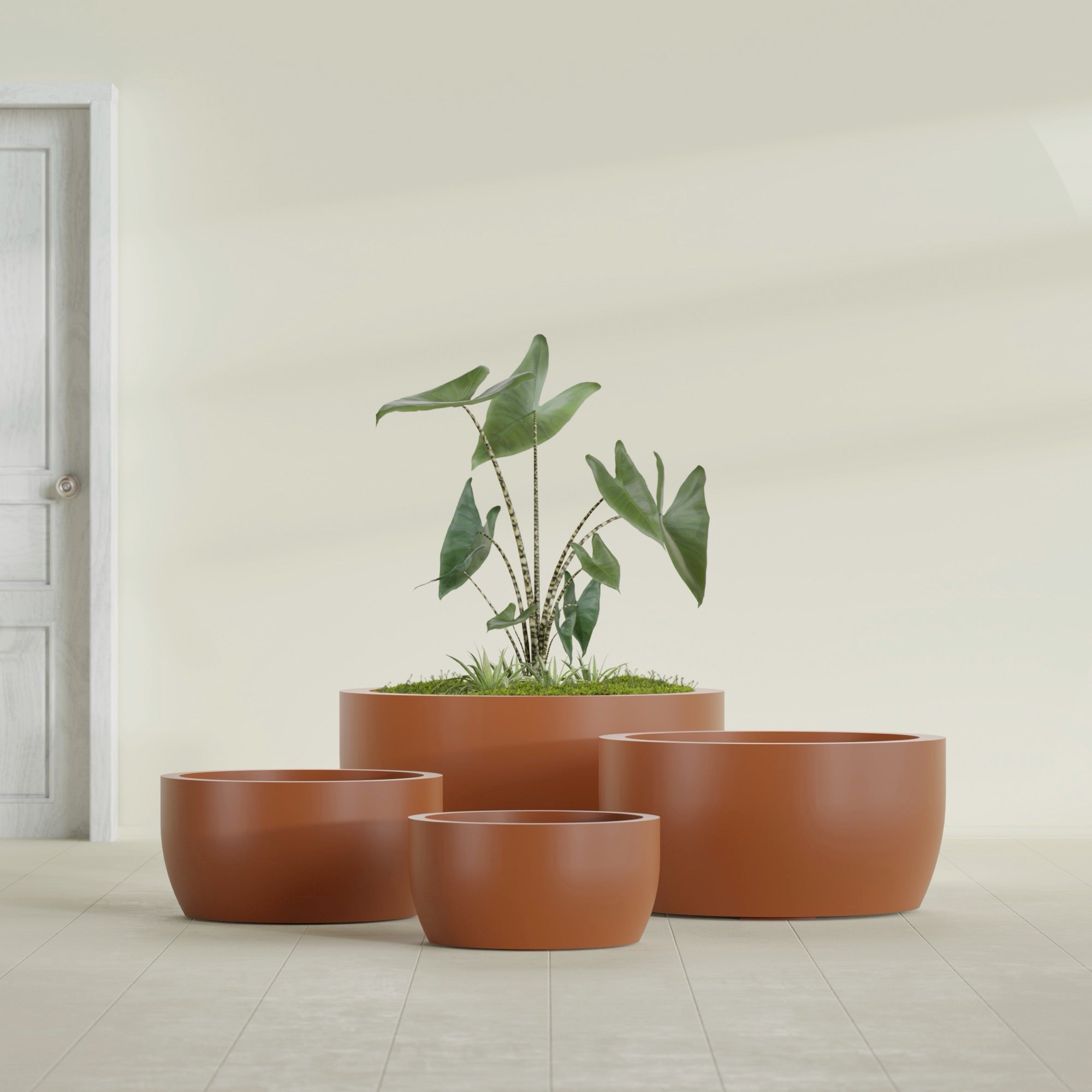 Casablanca Medium Round Low Bowl Fiberglass Planter - 20 in x 20 in x 10 in - Matte Terracotta - Matte Terracotta,20 in x 20 in x 10 in