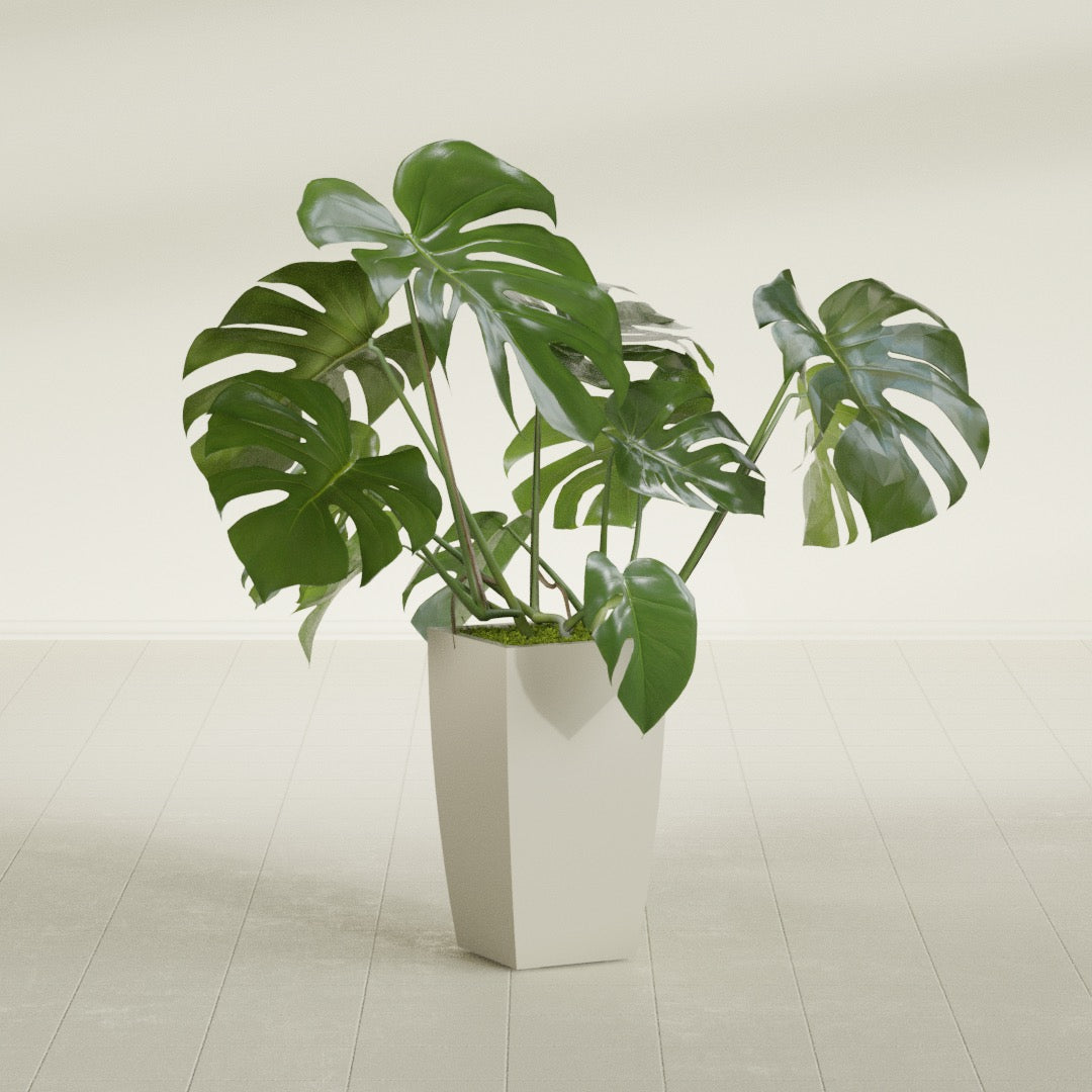 Toulan Medium Tall Tapered Square Fiberglass Planter - 12 in x 12 in x 22 in - Satin Beige - Satin Beige,12 in x 12 in x 22 in