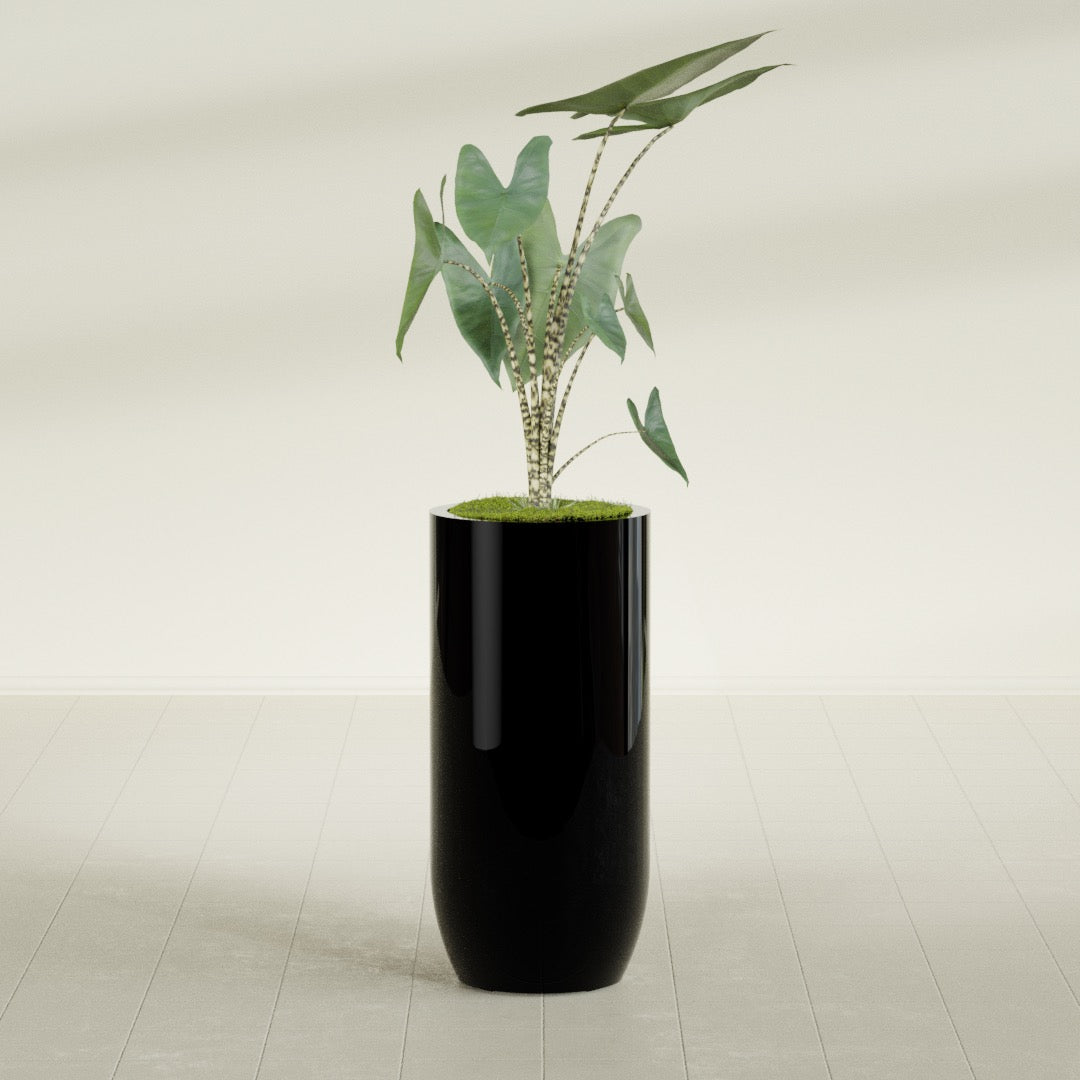 Saint Tropez Large Tall Round Fiberglass Planter - 20 in x 20 in x 43 in - Gloss Black - Gloss Black,20 in x 20 in x 43 in