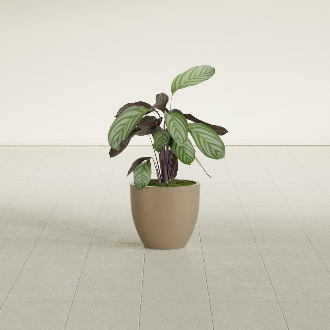 Wannsee Small Round Fiberglass Planter - 15 in x 15 in x 13 in - Metallic Gold - Metallic Gold,15 in x 15 in x 13 in