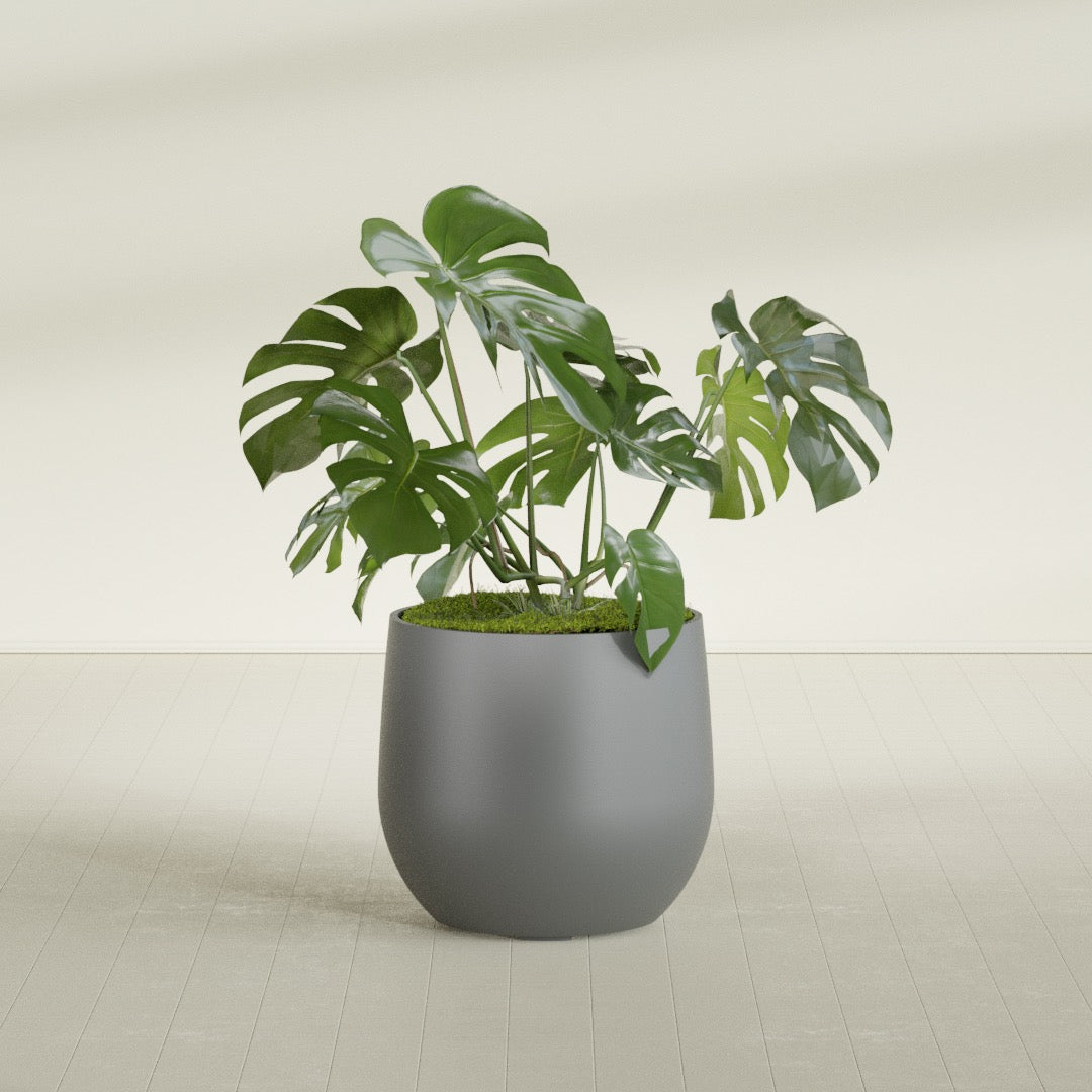 Westfield - 27in diam. x 25in - Metallic Gunmetal - Metallic Gunmetal,27 in diam. x 25 in H