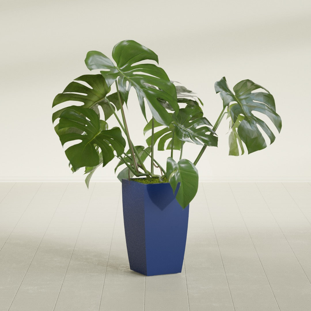 Toulan Medium Tall Tapered Square Fiberglass Planter - 12 in x 12 in x 22 in - Matte Cobalt Blue - Matte Cobalt Blue,12 in x 12 in x 22 in