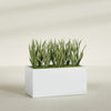 Granada Extra Large Long Rectangle Fiberglass Planter - 48 in x 24 in x 24 in - Gloss White - Gloss White,48 in x 24 in x 24 in