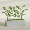 Torino Extra Large Wide Rectangle Fiberglass Planter - 60 in x 24 in x 18 in - Metallic Silver - Metallic Silver,60 in x 24 in x 18 in