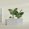 Panama Extra Large Long Rectangle Fiberglass Planter - 48 in x 12 in x 18 in - Metallic Silver - Metallic Silver,48 in x 12 in x 18 in
