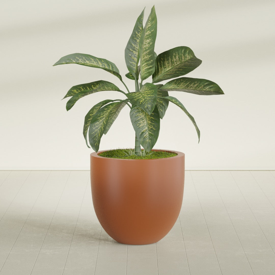 Alzira Large Round Fiberglass Planter - 30 in x 30 in x 28 in - Matte Terracotta - Matte Terracotta,30 in x 30 in x 28 in