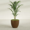 Wannsee Large Round Fiberglass Planter - 33 in x 33 in x 29 in - Metallic Bronze - Metallic Bronze,33 in x 33 in x 29 in