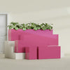 Miami Extra Large Narrow Rectangle Fiberglass Planter - 60 in x 12 in x 18 in - Gloss Pink Violet - Gloss Pink Violet,60 in x 12 in x 18 in