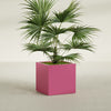 Montroy Medium Cube Square Fiberglass Planter - 28 in x 28 in x 28 in - Gloss Pink Violet - Gloss Pink Violet,28 in x 28 in x 28 in
