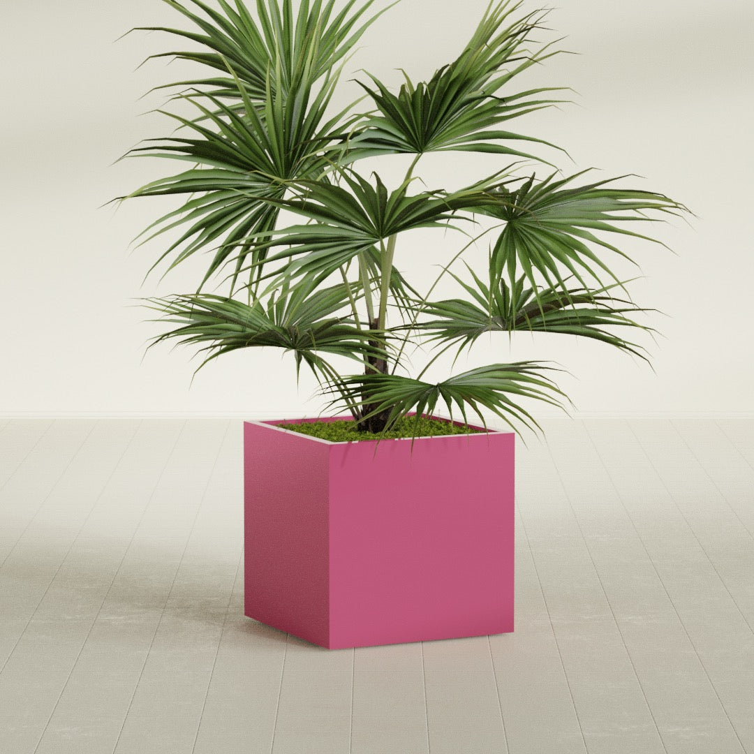 Montroy Medium Cube Square Fiberglass Planter - 28 in x 28 in x 28 in - Gloss Pink Violet - Gloss Pink Violet,28 in x 28 in x 28 in