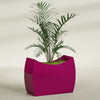 Seoul Extra Large Curved Abstract Fiberglass Planter - 48 in x 20 in x 36 in - Gloss Eggplant - Gloss Eggplant,48 in x 20 in x 36 in