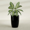 Lisbon Large Round Fiberglass Planter - 24 in x 24 in x 36 in - Gloss Black - Gloss Black,24 in x 24 in x 36 in