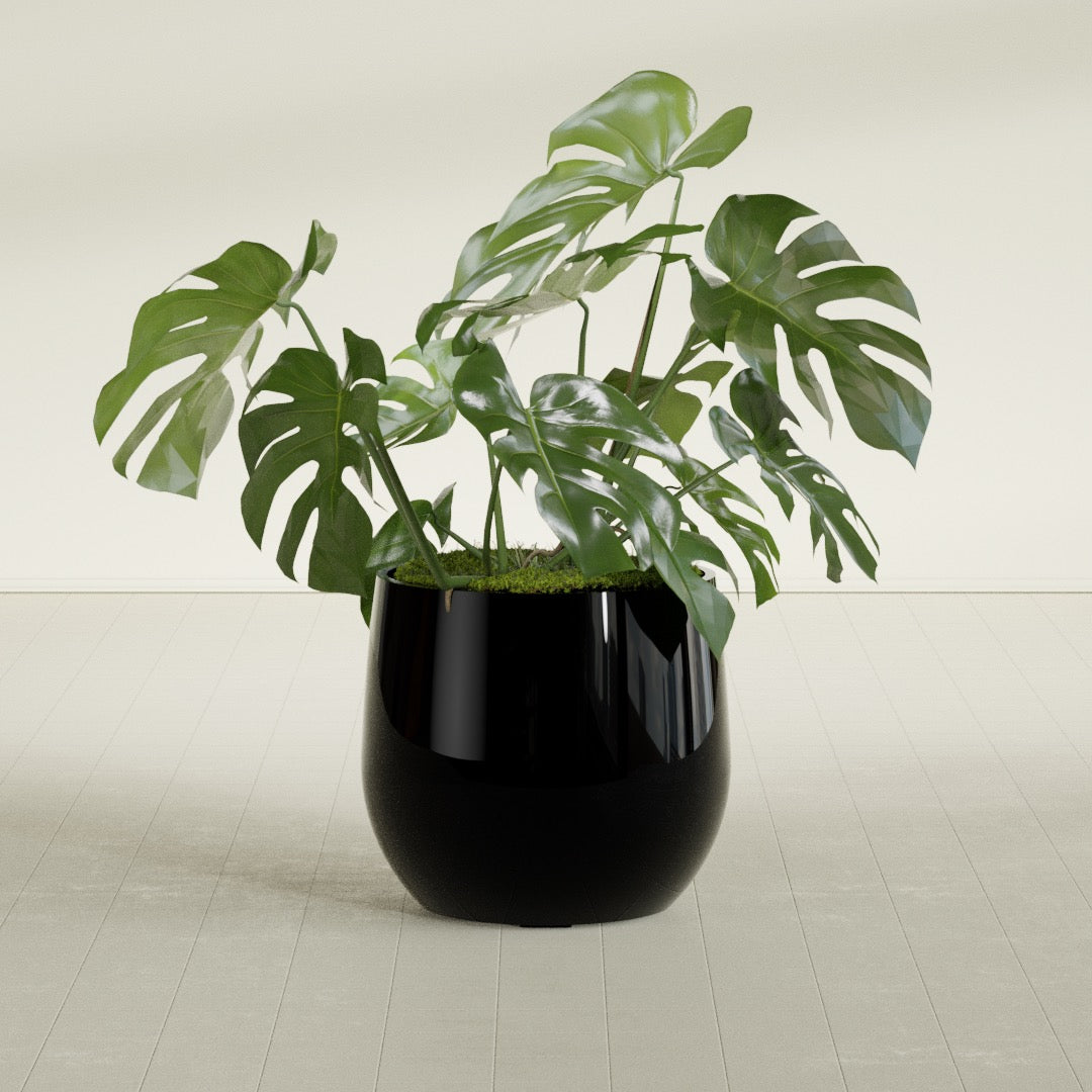 Westfield - 23in diam. x 21in - Gloss Black - Gloss Black,23 in diam. x 21 in H