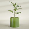 Rio Grande Medium Round Fiberglass Planter - 22 in x 22 in x 22 in - Satin Green - Satin Green,22 in x 22 in x 22 in