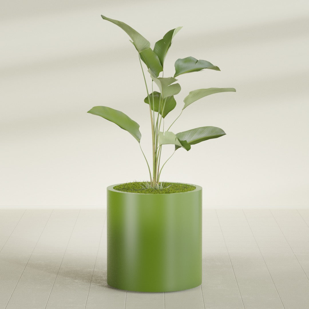 Rio Grande Medium Round Fiberglass Planter - 22 in x 22 in x 22 in - Satin Green - Satin Green,22 in x 22 in x 22 in