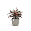 Rotterdam Small Square Planter - 19.75 in x 19.75 in x 17.25 in - Taupe - Taupe,19.75 in x 19.75 in x 17.25 in,Planter Only