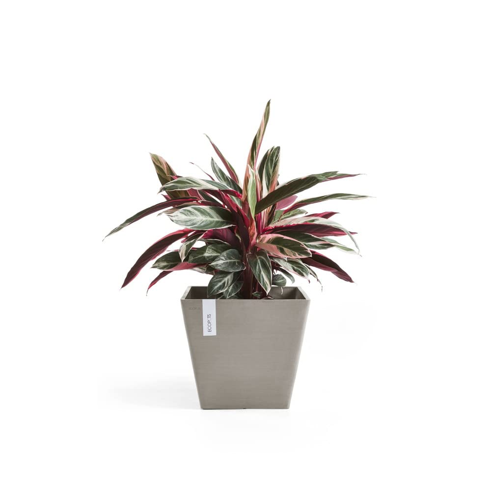 Rotterdam Small Square Planter - 19.75 in x 19.75 in x 17.25 in - Taupe - Taupe,19.75 in x 19.75 in x 17.25 in,Planter Only
