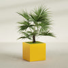 Montroy Large Cube Square Fiberglass Planter - 32 in x 32 in x 32 in - Gloss Saffron - Gloss Saffron,32 in x 32 in x 32 in