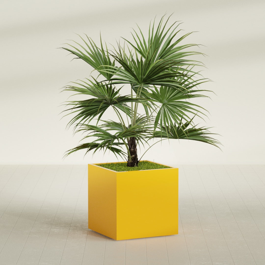 Montroy Large Cube Square Fiberglass Planter - 32 in x 32 in x 32 in - Gloss Saffron - Gloss Saffron,32 in x 32 in x 32 in
