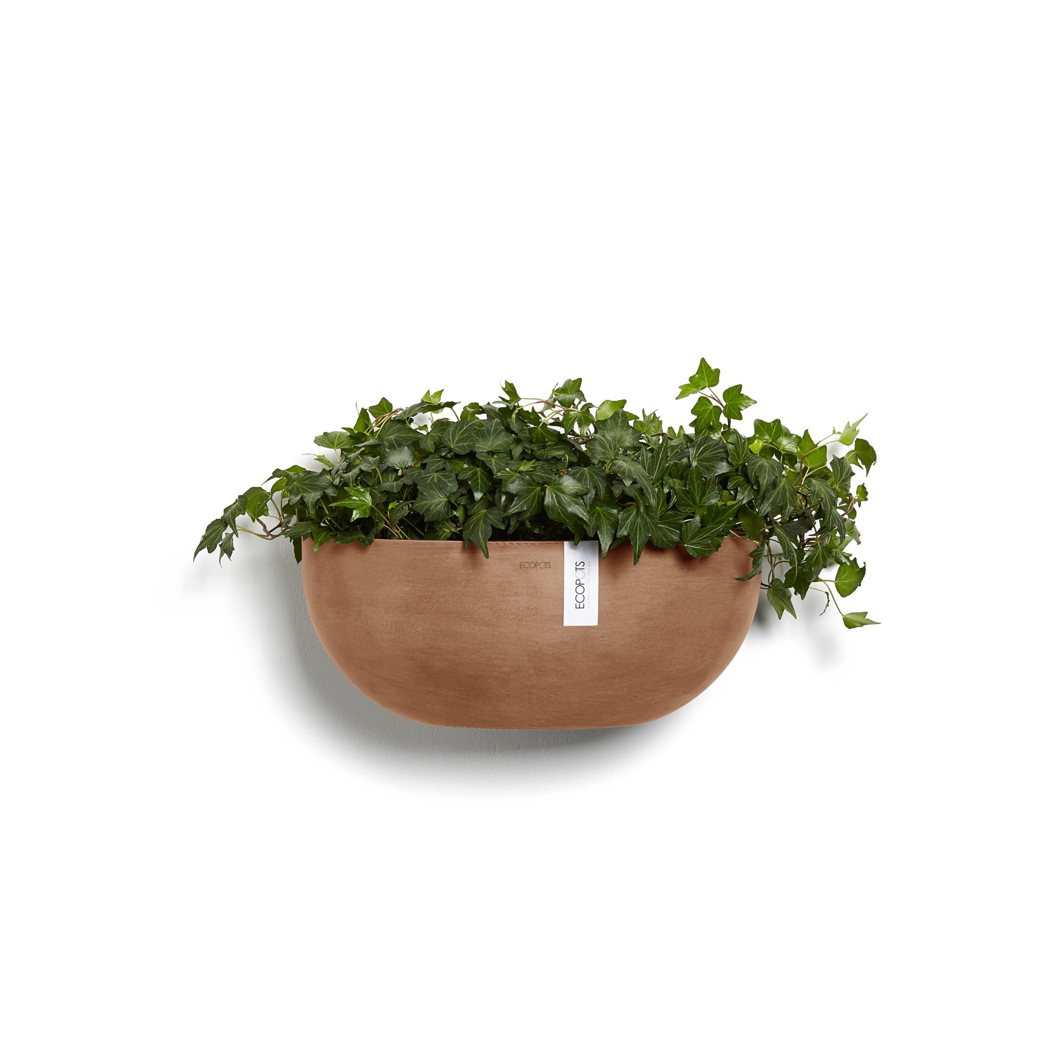 Sofia Wall Small Conical Wall Planter - 16.5 in x 10 in x 7 in - Terracotta - Terracotta,16.5 in x 16.5 in x 7 in