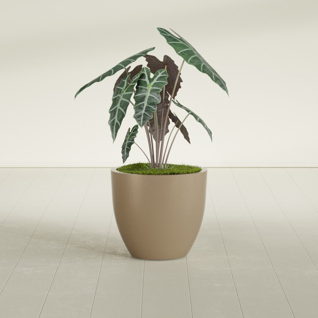Wannsee Medium Round Fiberglass Planter - 27 in x 27 in x 24 in - Metallic Gold - Metallic Gold,27 in x 27 in x 24 in