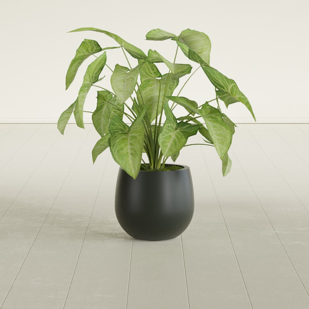 Westfield - 10in diam. x 9in - Matte Charcoal - Matte Charcoal,10 in diam. x 9 in H