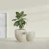 Alzira Medium Round Fiberglass Planter - 23 in x 23 in x 22 in - Satin Beige - Satin Beige,23 in x 23 in x 22 in