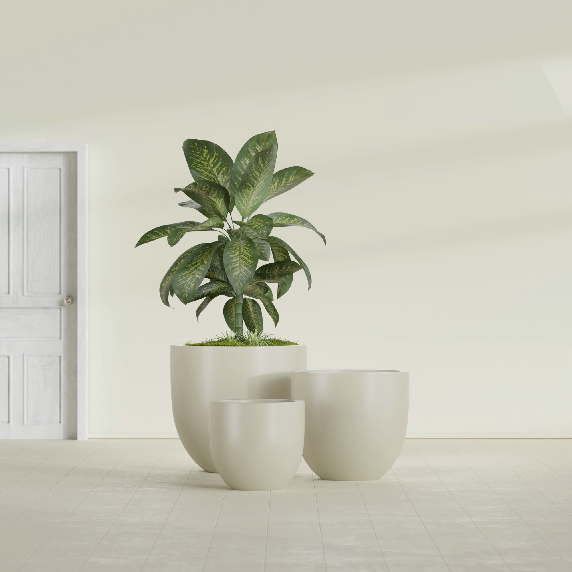 Alzira Medium Round Fiberglass Planter - 23 in x 23 in x 22 in - Satin Beige - Satin Beige,23 in x 23 in x 22 in