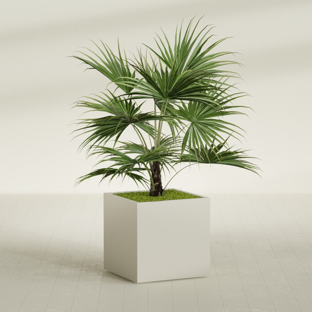 Montroy Large Cube Square Fiberglass Planter - 32 in x 32 in x 32 in - Satin Beige - Satin Beige,32 in x 32 in x 32 in