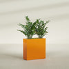Milano Medium Narrow Rectangle Fiberglass Planter - 24 in x 10 in x 24 in - Gloss Tangerine - Gloss Tangerine,24 in x 10 in x 24 in