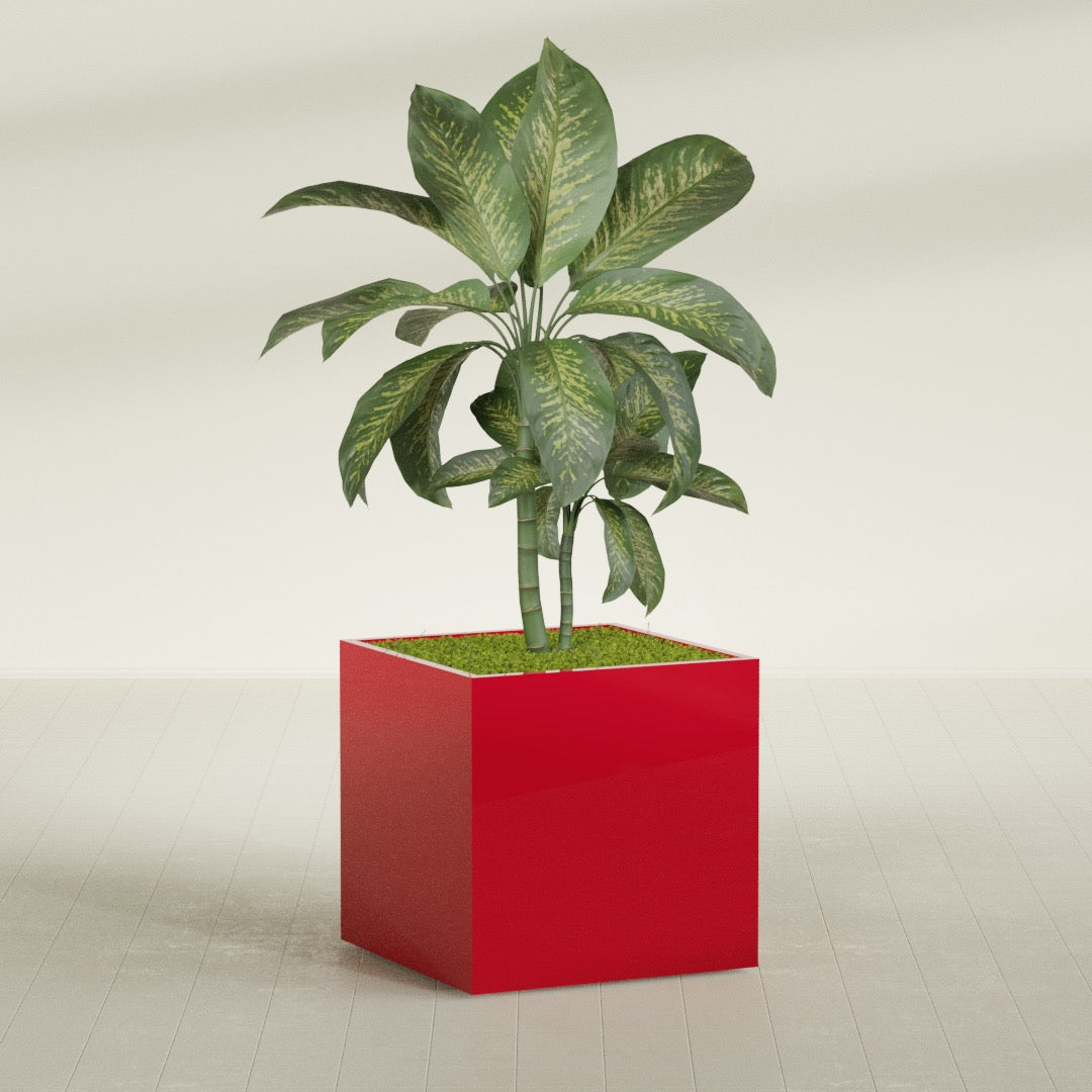 Montroy Large Cube Square Fiberglass Planter - 36 in x 36 in x 36 in - Gloss Red - Gloss Red,36 in x 36 in x 36 in
