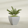 Lima Medium Tapered Square Fiberglass Planter - 24 in x 24 in x 24 in - Metallic Silver - Metallic Silver,24 in x 24 in x 24 in