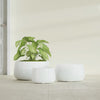 Short Hayden Small Round Fiberglass Planter - 12 in x 12 in x 7 in - Gloss White - Gloss White,12 in x 12 in x 7 in