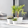 Rotterdam Small Square Planter - 8 in x 8 in x 7 in - Pure White - Pure White,8 in x 8 in x 7 in,Planter Only