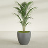 Wannsee Large Round Fiberglass Planter - 33 in x 33 in x 29 in - Metallic Gunmetal - Metallic Gunmetal,33 in x 33 in x 29 in