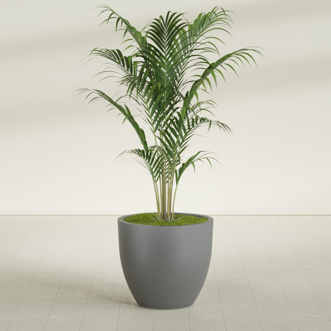 Wannsee Large Round Fiberglass Planter - 33 in x 33 in x 29 in - Metallic Gunmetal - Metallic Gunmetal,33 in x 33 in x 29 in