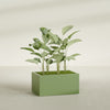 Torino Large Wide Rectangle Fiberglass Planter - 36 in x 24 in x 18 in - Satin Green - Satin Green,36 in x 24 in x 18 in
