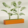 Cuba Extra Large Long Rectangle Fiberglass Planter - 60 in x 14 in x 12 in - Gloss Tangerine - Gloss Tangerine,60 in x 14 in x 12 in