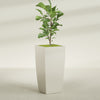 Toulan Extra Large Tall Tapered Square Fiberglass Planter - 23 in x 23 in x 48 in - Satin Beige - Satin Beige,23 in x 23 in x 48 in