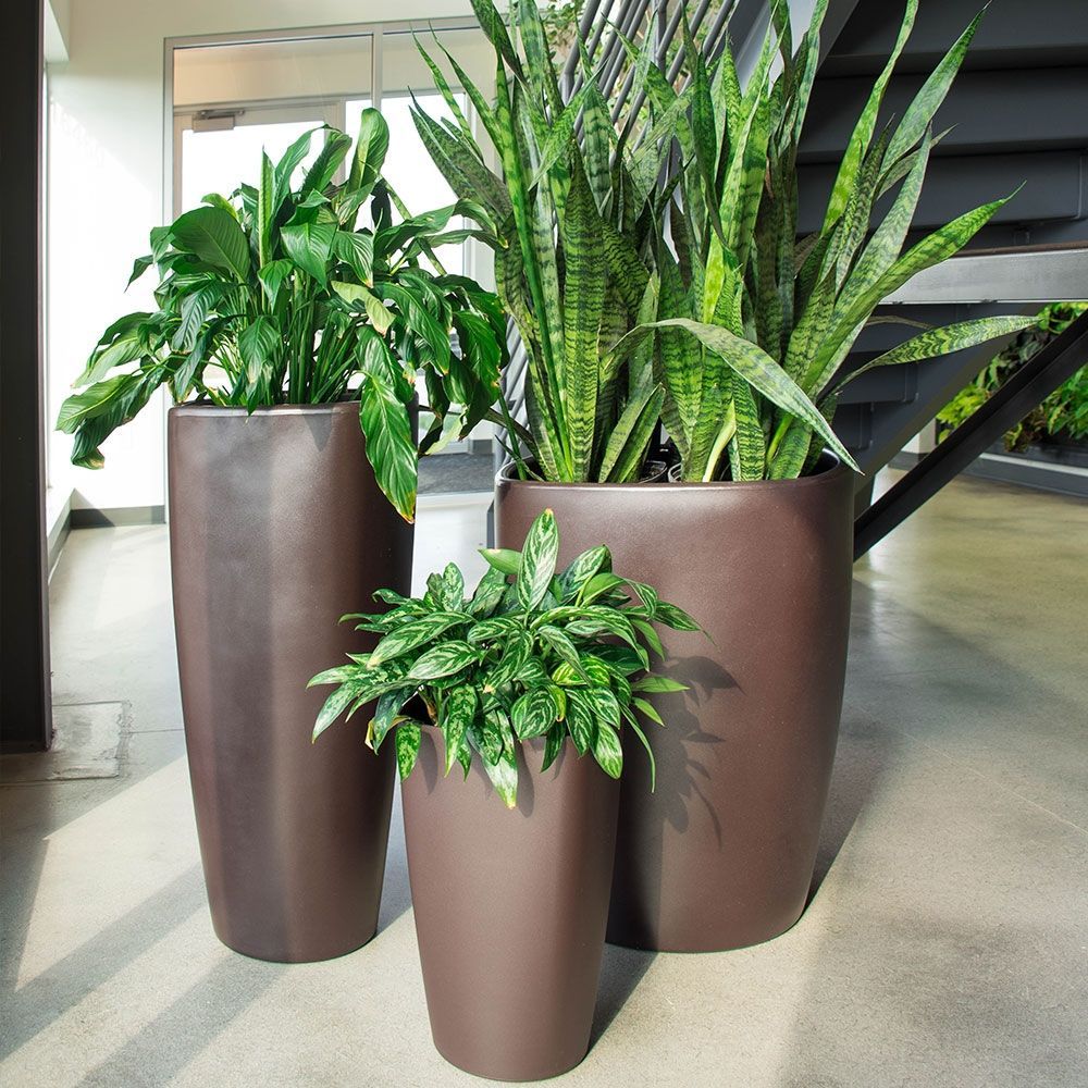 Hancock Small Square Plastic Planter - 7.5 in x 7.5 in x 7 in