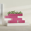 Antwerp Medium Low Rectangle Fiberglass Planter - 24 in x 24 in x 12 in - Gloss Pink Violet - Gloss Pink Violet,24 in x 24 in x 12 in