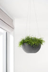 Hanging Brussels Small Bowl Planter - 10.5 in x 10.5 in x 5 in - Dark Grey - Dark Grey,10.5 in x 10.5 in x 5 in