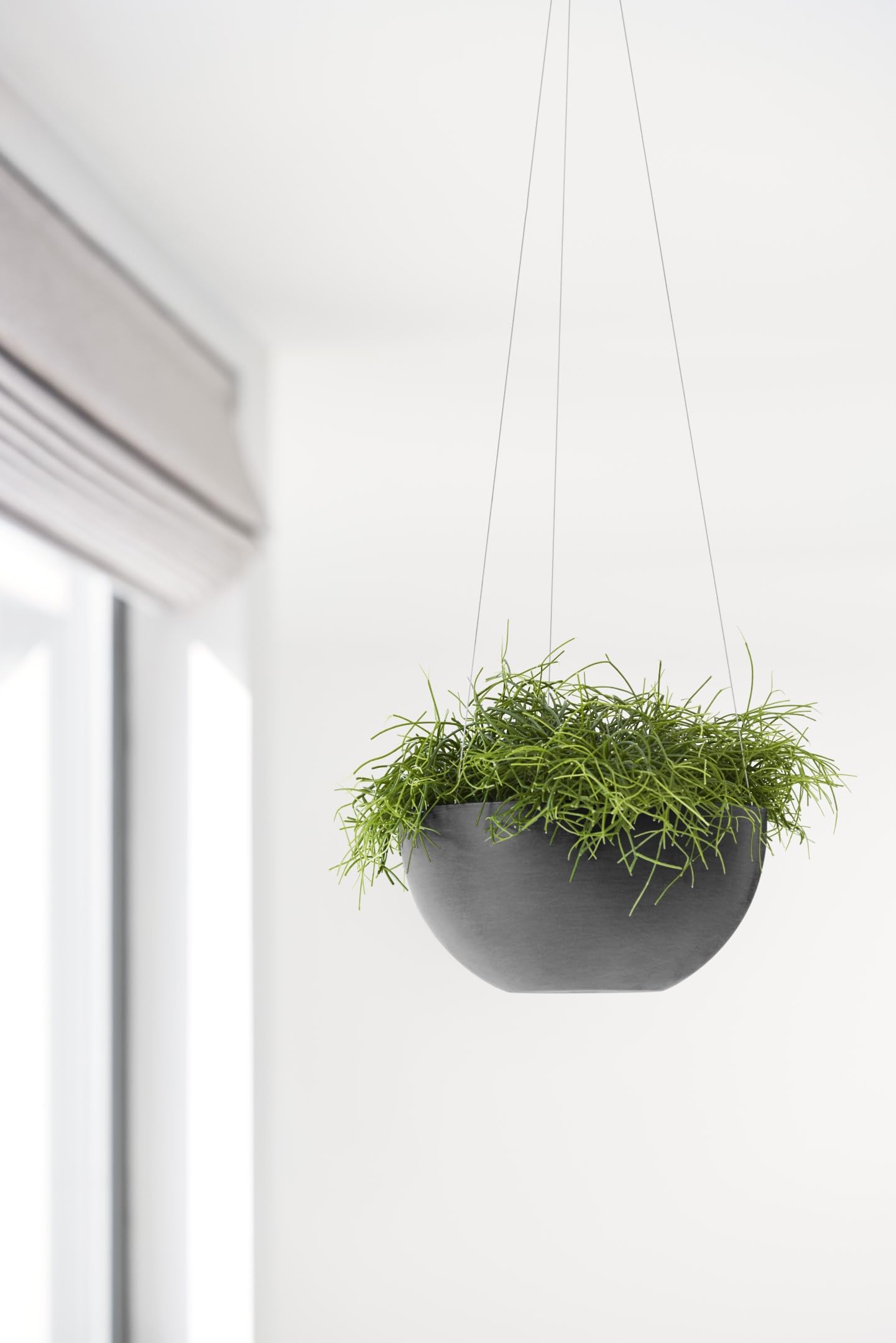 Hanging Brussels Small Bowl Planter - 10.5 in x 10.5 in x 5 in - Dark Grey - Dark Grey,10.5 in x 10.5 in x 5 in